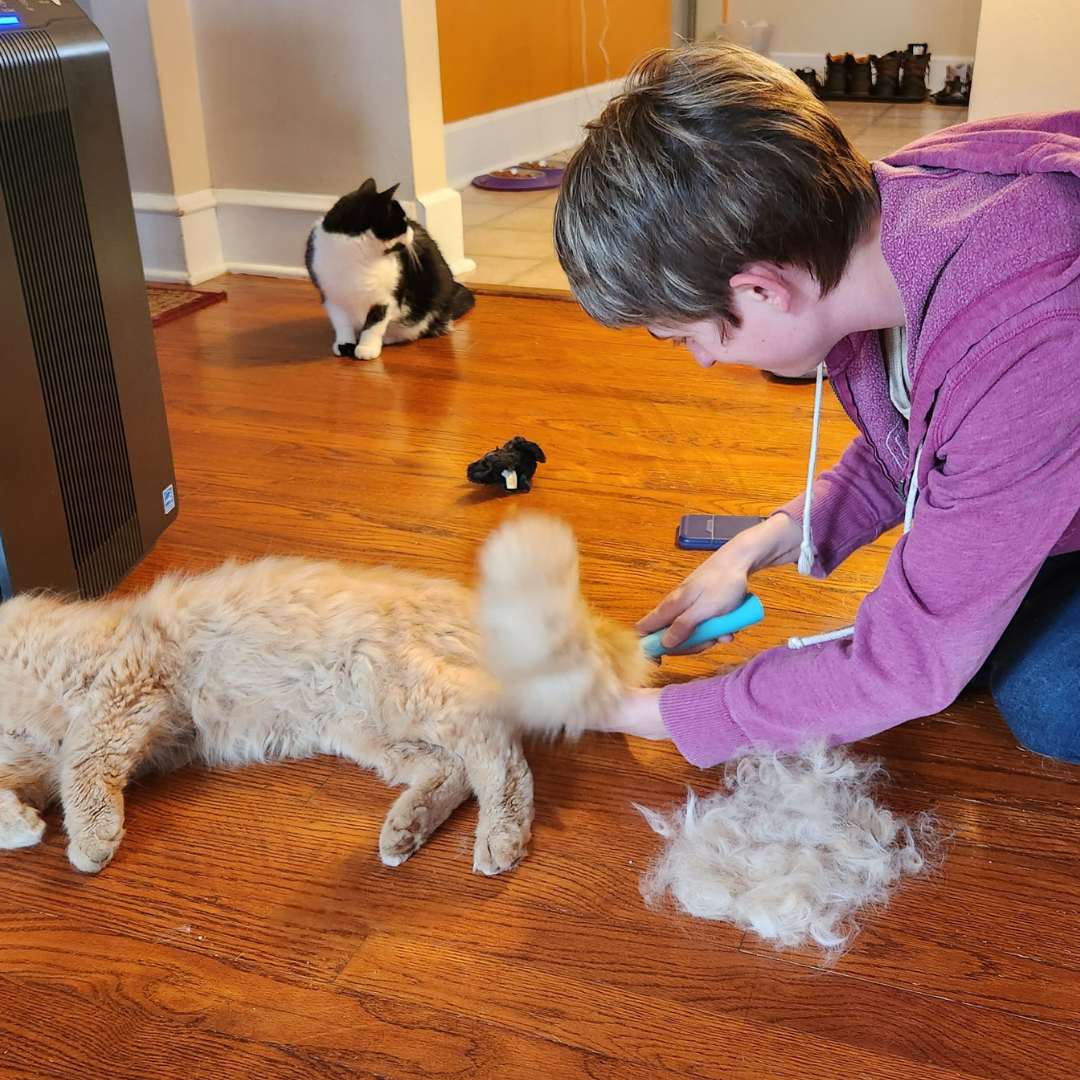 Fur-pocalypse Survival Kit - The Complete Uproot Package™